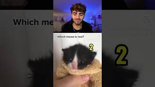 si me río el VIDEO TERMINA