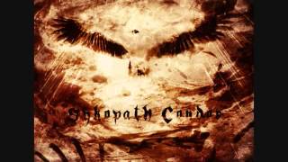 Sykopath Condor - Run for cover