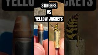 .22 Stingers Vs Yellow Jackets