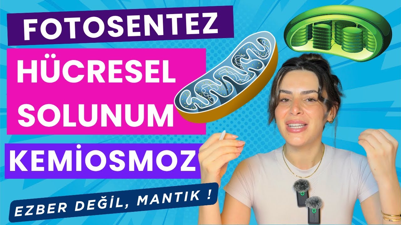 Enerji Dönüşümleri Ve Kemiosmotik Hipotez Mantığı #yks #ayt #biyoloji