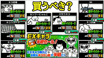 開眼のネコフィーバー 開眼のネコフィーバー