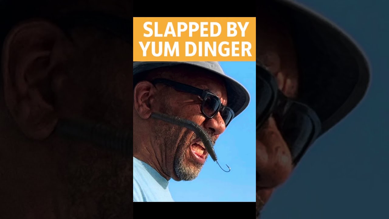 “Fishing Gone Wrong: Slapped by a YUM Dinger + 2 Quick Bass!”