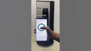 How many ways can you unlock a smart door lock? Model: Tenon A2 smart lock.