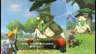 ボックリンの居場所 全5か所 ポーチの拡張 攻略 ゼルダの伝説 ブレスオブザワイルド All 5 Hestu Locations Breath Of The Wild Botw Youtube