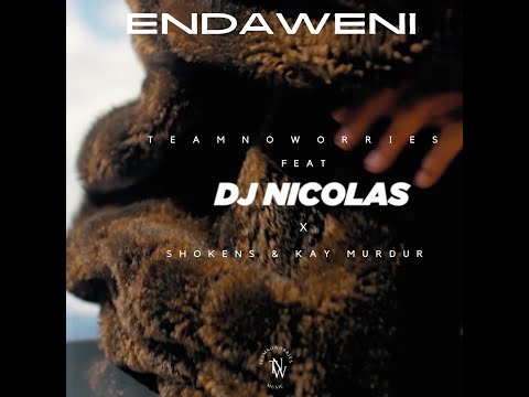 Teamnoworries - Endaweni (Official Audio) ft. DjNicolas x Shokens, Kay Murdur