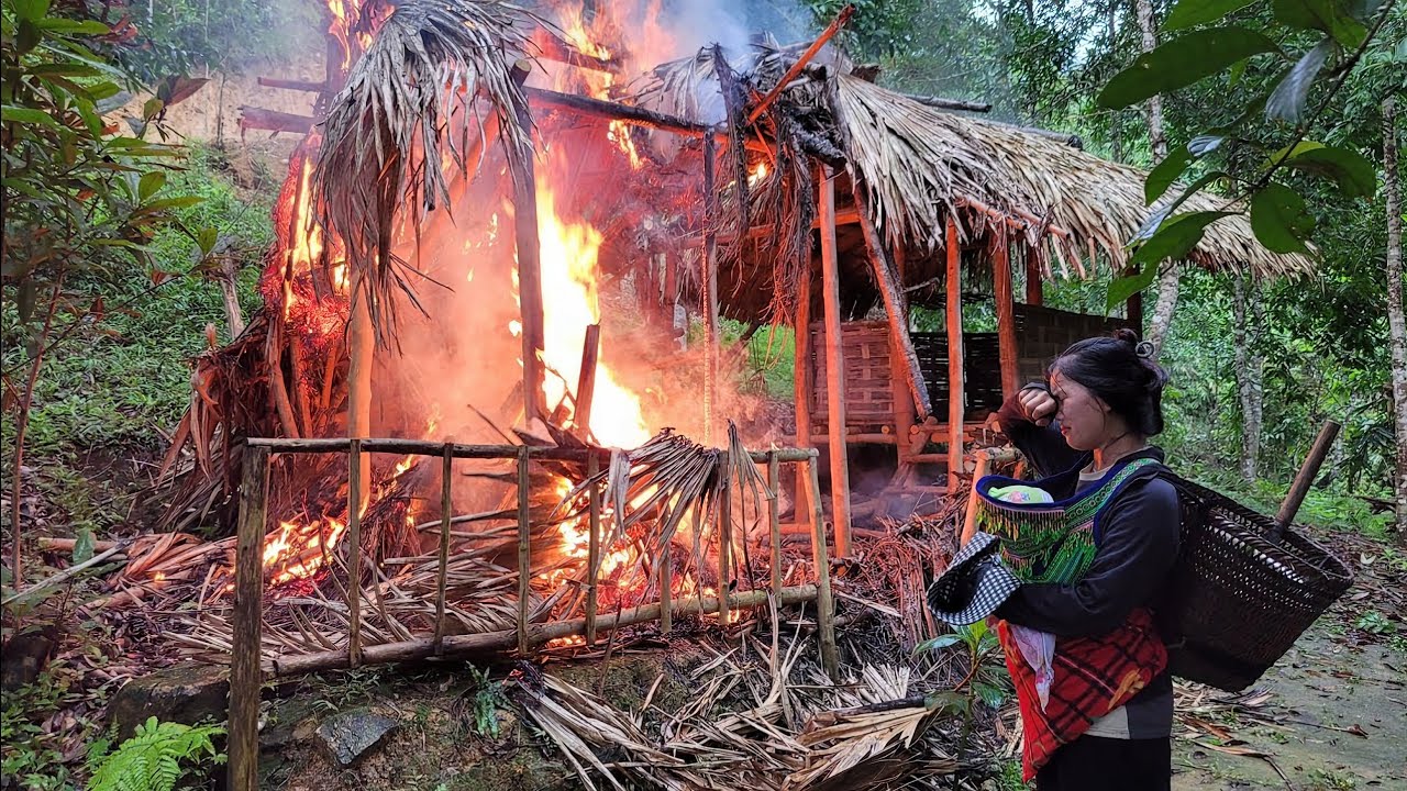 A 17-year-old single mother goes to harvest corn, and her house is vandalized by thieves.