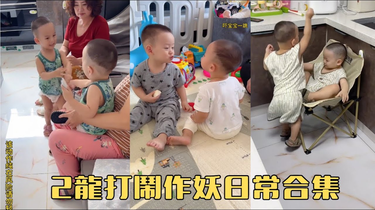 2龍打鬧作妖日常合集