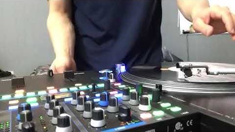 Scratch session regular and hamster