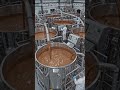 Cómo se Fabrica el Chocolate 🍫 | Proceso Completo en la Fábrica | Documental #shorts