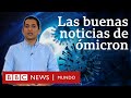 Ómicron: las buenas y las malas noticias que dejan los primeros estudios de la variante | BBC Mundo