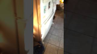 Do not microwave a green sour patch kid