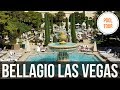 TOP 5 BEST VALUE LAS VEGAS HOTELS & CASINOS FOR 2019 - YouTube