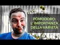 L' Importanza della Varietà nel Pomodoro