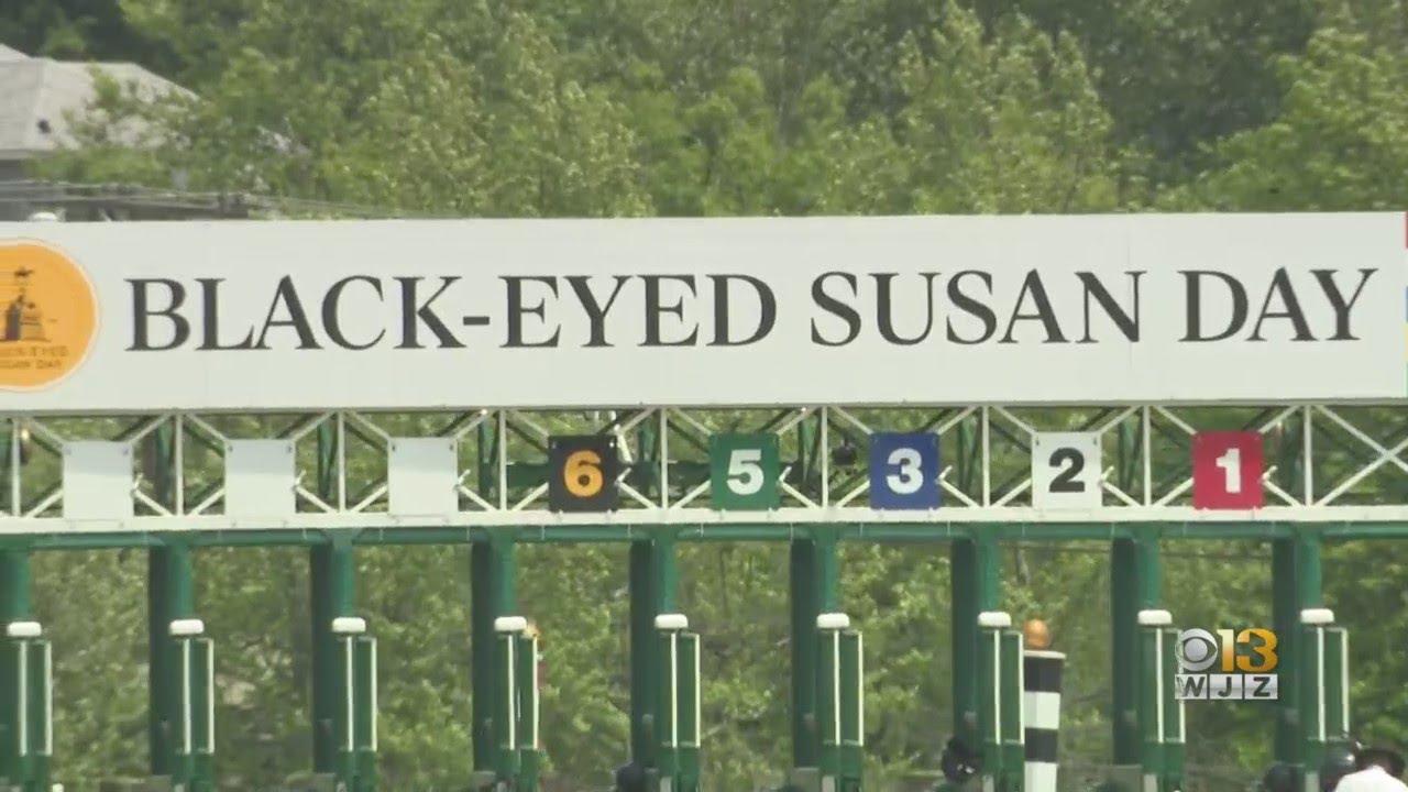 Preakness Weekend Festivities Kick Off With Black-Eyed Susan Day