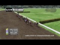 Belmont Fantasy Stakes