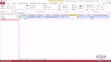 Access 2013 - Gegevens invoeren