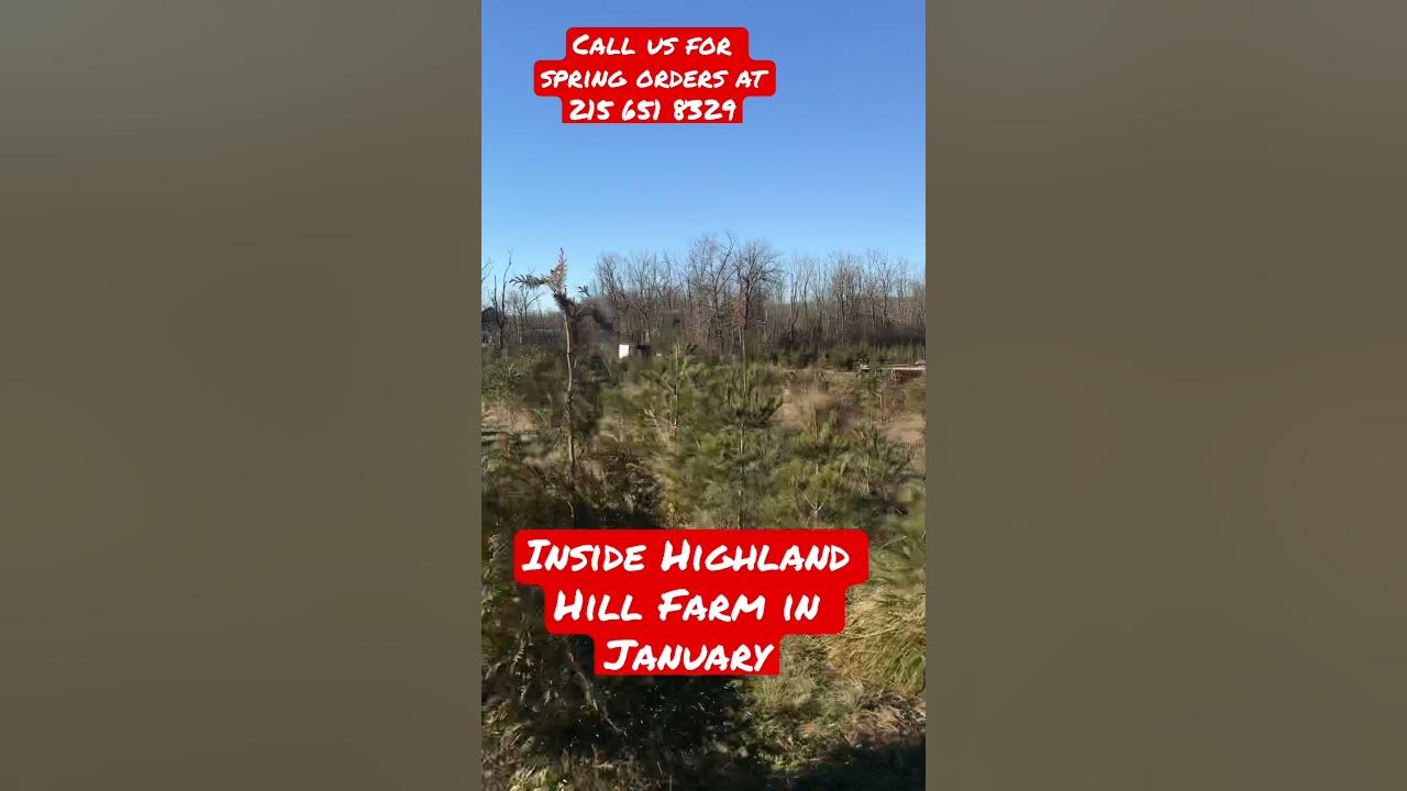 call in your spring orders now…. There is a shortage of trees. Call us