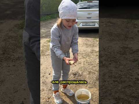 ИСТОРИЯ ОДНОГО КАРАСЯ😂 #shortsvideo #семья #юмор #shorts #врек #тренды