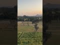 Village Beauty