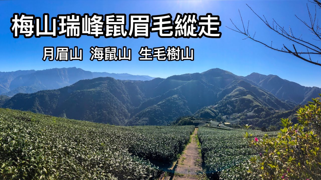 ［嘉義梅山］（上集）瑞峰鼠眉毛縱走   月眉山 海鼠山 生毛樹山