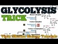 TRICK to learn GLYCOLYSIS substrates and most important points about glycolysis for NEET and AIIMS .