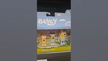 Bluey Friends Popular Fun Youtubeshorts 