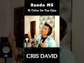 El color de Tus Ojos - Cris David #musica #shorts #cover #bandams #reels #estreno