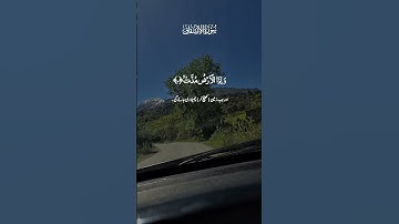 تلاوة عطرة لآيات من كتاب الله #القرآن_الكريم #القرآن #الله #اكسبلور #foryou #راحة_نفسية #viral