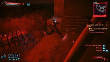 Cyberpunk 2077 Immortal Enemy Bug