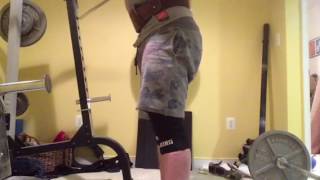 Squats 395x5