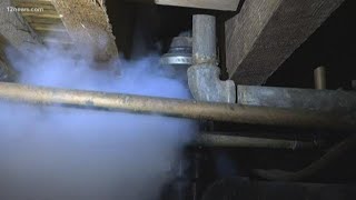 Rat problem leads to warning from homeowners