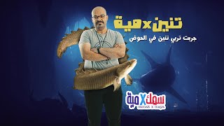 سمكة البولي باتروس- جربت تربي تنين في الحوض؟؟