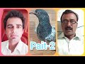 Pait2  ustad asif mahmoud chatha  ashfaq nazir  pakistan pigeons