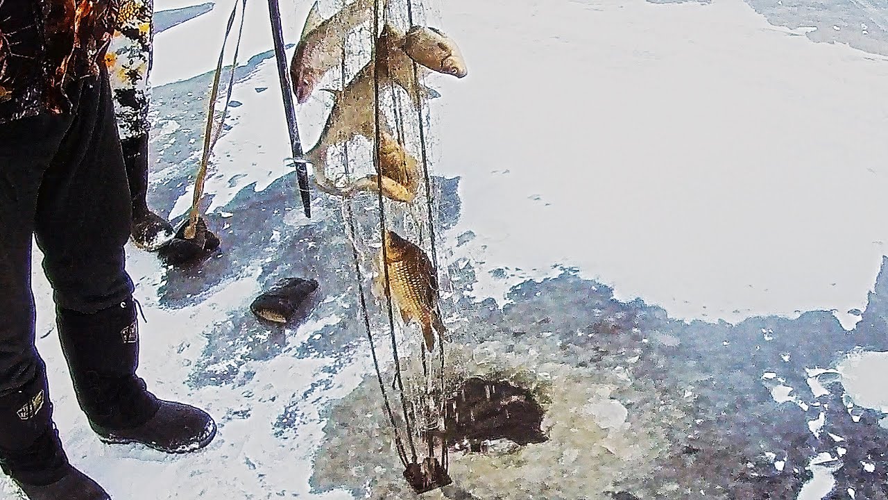 Ловля на хапугу видео. Хапуга для зимней рыбалки. Хапуга для рыбалки зимой. Ловля на хапугу зимой. Хапуга для ловли рыбы зимой.