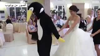 عرس تركي  وية رقصة البطريق الي تنتشر في حفلات الزفاف ? لايك فدوة 