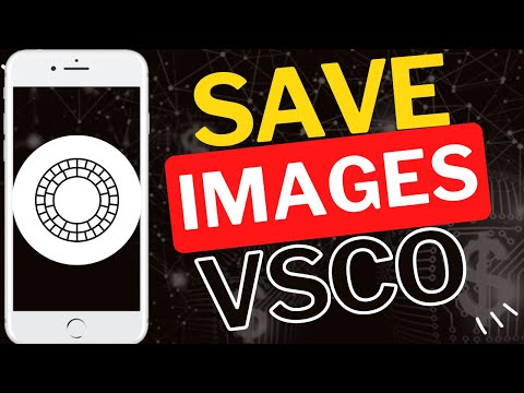 Vsco Image Searchtimeline