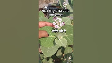 कितनी भी विषम परिस्थिति हो 🌺🔱🙏#upay #katha #bholenath #nature #pradeepmishra #sehorewale #mandir #yt