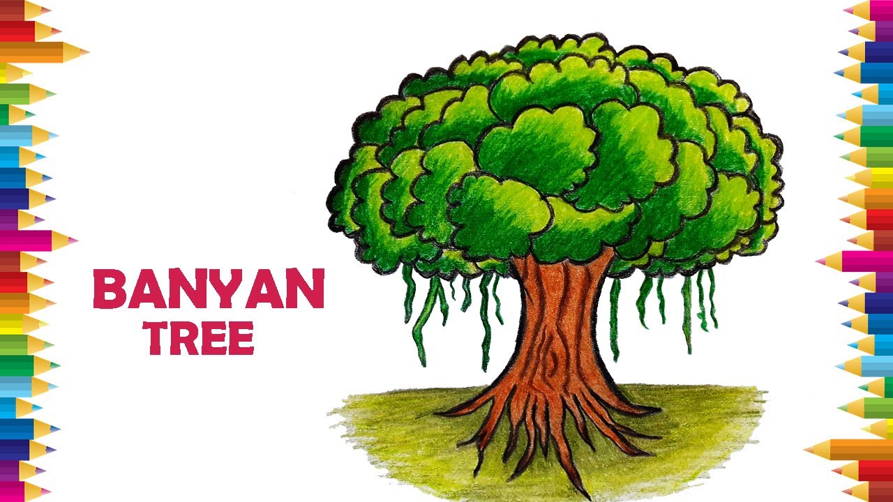 how to draw banyan tree, banyan tree drawing, how to draw a banyan...