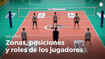 ¿Cuál es la posición de los jugadores de voleibol?
