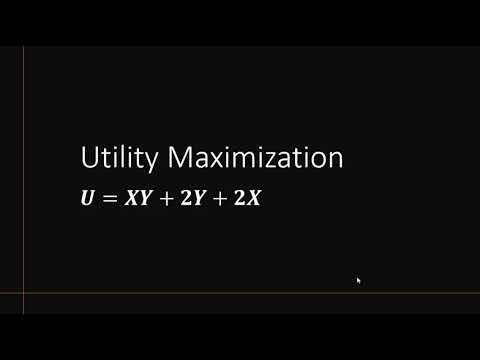 Utility Maximization: U