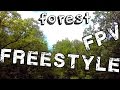 Forest Freestyle FPV