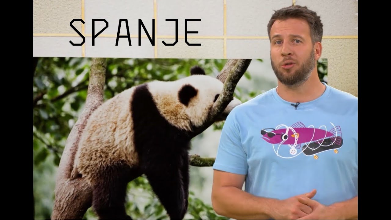 Aktualni predlogi I oddaja SPANJE I OSVEŽILNA FRONTA