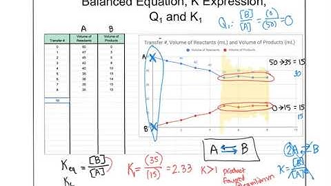 Equilibrium Straw Lab Debrief (honors)