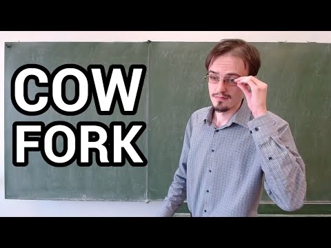 Náhľad videa: 2020-06 [seminár] Copy-on-write fork