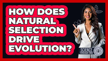 How Does Natural Selection Drive Evolution? - Science Through Time