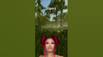 Tigers