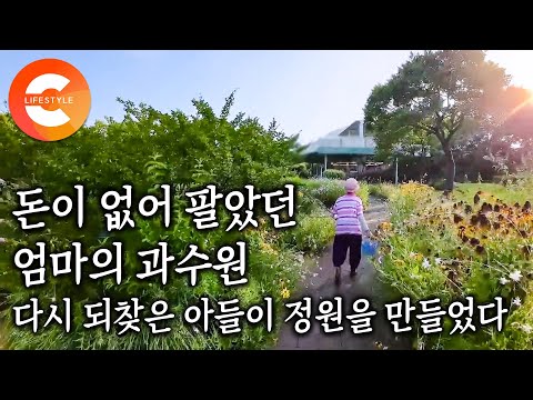 장가가는 아들 집 마련해 주려고 팔았던 땅, 아들이 그 땅을 다시 샀다ㅣ평생을 바쳐 부모님이 일군 과수원을 되찾은 아들이 10년에 걸쳐 만든 아흔넷 어머니를 위한 정원ㅣ#한국기행 
