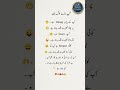 Aap Bohat Baray Log Hain! 😂🤦♂️ | Urdu Funny Quote