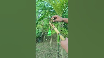 DIY Bamboo Creation with Colourful Balloon Slingleshot #Diy #Slingshot #Bamboo