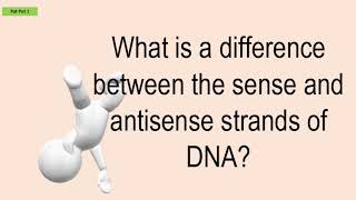 What Is A Difference Between The Sense And Antisense Strands Of DNA?